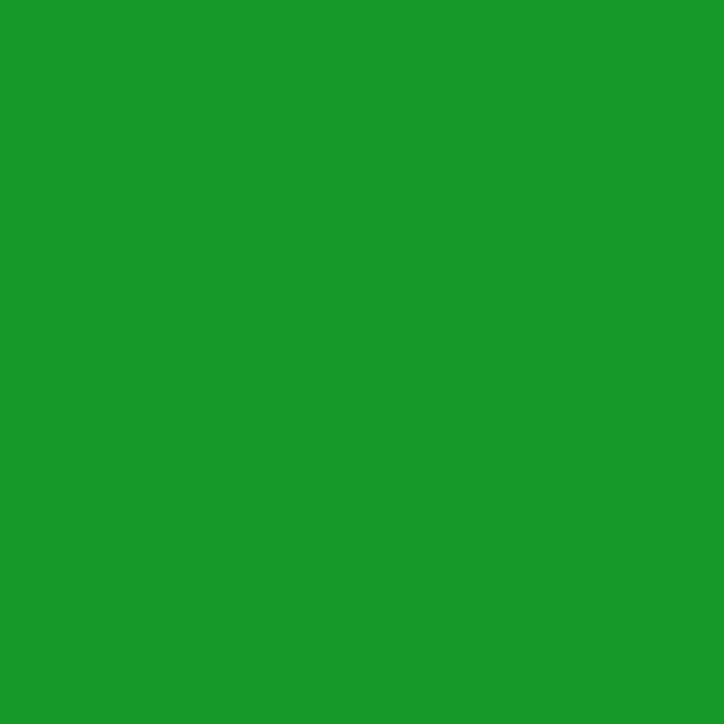 2032-10 Neon Green - Paint Color