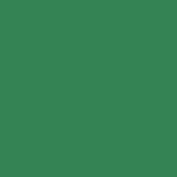 2035-70 Italian Ice Green a Paint Color by Benjamin Moore