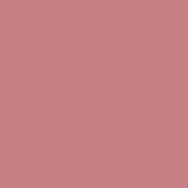 2005-40 Genuine Pink - Paint Color | Palmer Ace Hardware