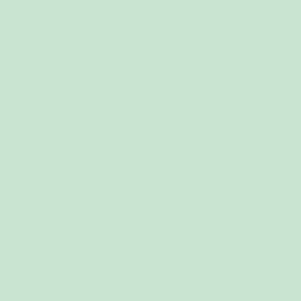 OMGreen, Seafoam Green Paint Color